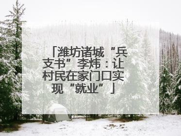 潍坊诸城“兵支书”李炜：让村民在家门口实现“就业”