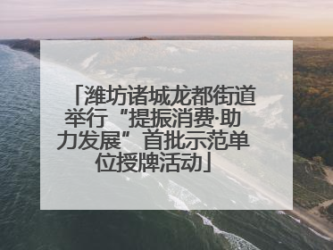 潍坊诸城龙都街道举行“提振消费·助力发展”首批示范单位授牌活动