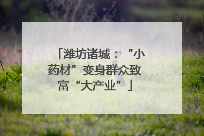 潍坊诸城：“小药材”变身群众致富“大产业”