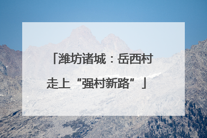 潍坊诸城：岳西村走上“强村新路”