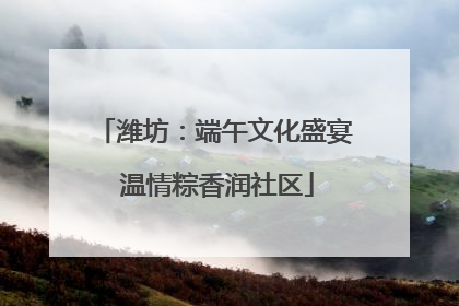 潍坊：端午文化盛宴 温情粽香润社区