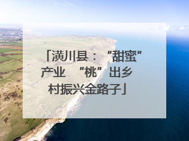 潢川县：“甜蜜”产业  “桃”出乡村振兴金路子