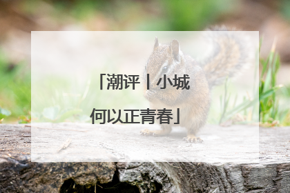 潮评丨小城何以正青春