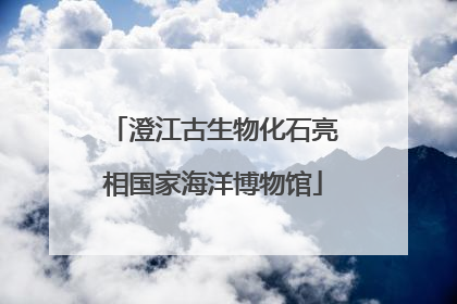 澄江古生物化石亮相国家海洋博物馆