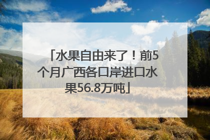 水果自由来了！前5个月广西各口岸进口水果56.8万吨