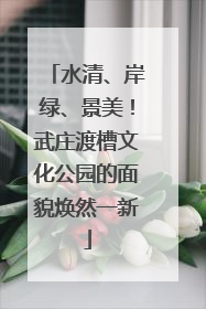 水清、岸绿、景美！武庄渡槽文化公园的面貌焕然一新