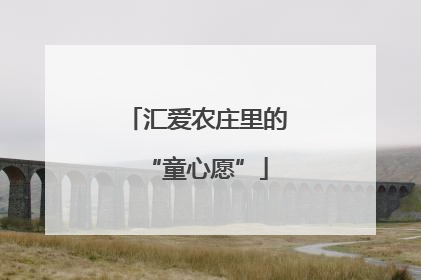 汇爱农庄里的“童心愿”