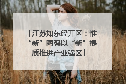 江苏如东经开区：惟“新”图强以“新”提质推进产业强区