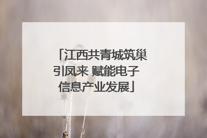 江西共青城筑巢引凤来 赋能电子信息产业发展