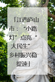 江西庐山市：“小路灯”点亮“大民生” 乡村振兴稳提速