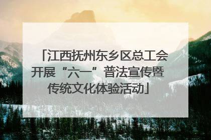 江西抚州东乡区总工会开展“六一”普法宣传暨传统文化体验活动