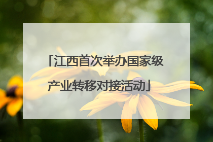 江西首次举办国家级产业转移对接活动
