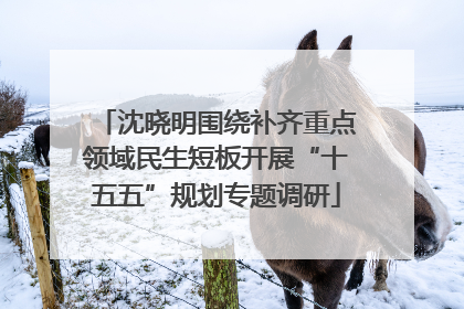 沈晓明围绕补齐重点领域民生短板开展“十五五”规划专题调研