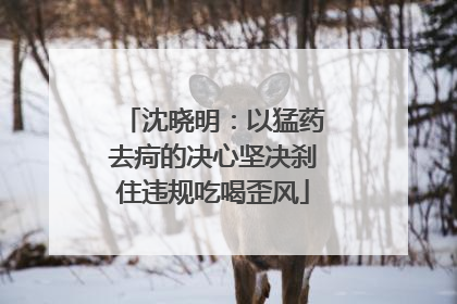 沈晓明：以猛药去疴的决心坚决刹住违规吃喝歪风