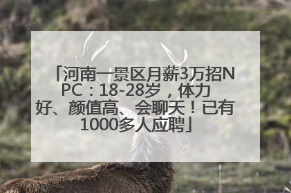 河南一景区月薪3万招NPC：18-28岁，体力好、颜值高、会聊天！已有1000多人应聘