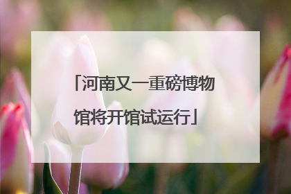 河南又一重磅博物馆将开馆试运行