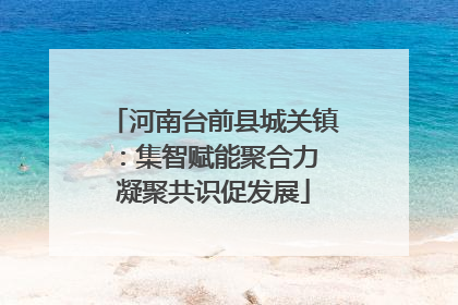 河南台前县城关镇：集智赋能聚合力 凝聚共识促发展