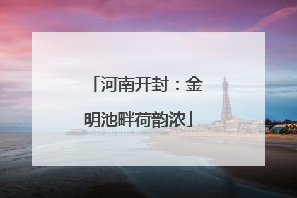 河南开封：金明池畔荷韵浓
