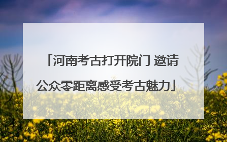 河南考古打开院门 邀请公众零距离感受考古魅力