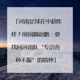 河南足球在中超咋样？前国脚赵鹏：要找回河南队“专治各种不服”的精神