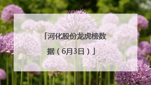 河化股份龙虎榜数据（6月3日）