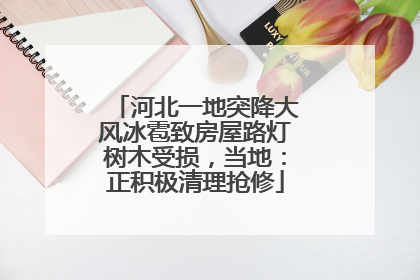 河北一地突降大风冰雹致房屋路灯树木受损，当地：正积极清理抢修