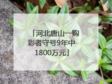 河北唐山一购彩者守号9年中1800万元
