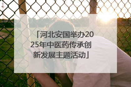 河北安国举办2025年中医药传承创新发展主题活动