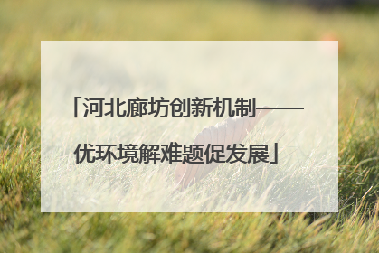 河北廊坊创新机制——优环境解难题促发展