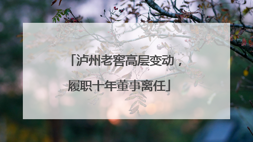泸州老窖高层变动，履职十年董事离任