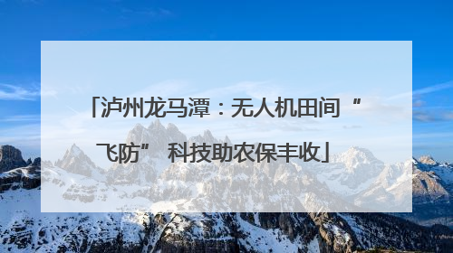 泸州龙马潭：无人机田间“飞防” 科技助农保丰收