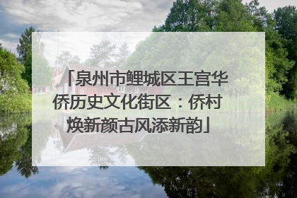 泉州市鲤城区王宫华侨历史文化街区：侨村焕新颜古风添新韵