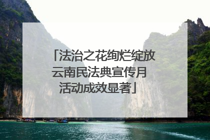 法治之花绚烂绽放 云南民法典宣传月活动成效显著