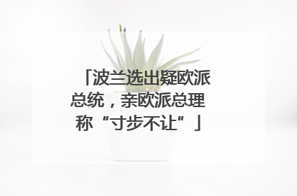 波兰选出疑欧派总统，亲欧派总理称“寸步不让”