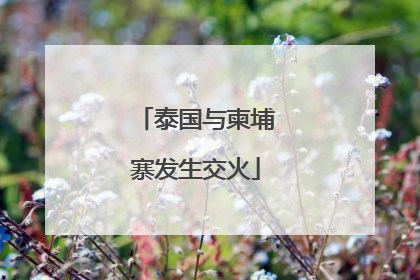 泰国与柬埔寨发生交火