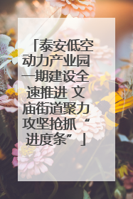 泰安低空动力产业园一期建设全速推进 文庙街道聚力攻坚抢抓“进度条”