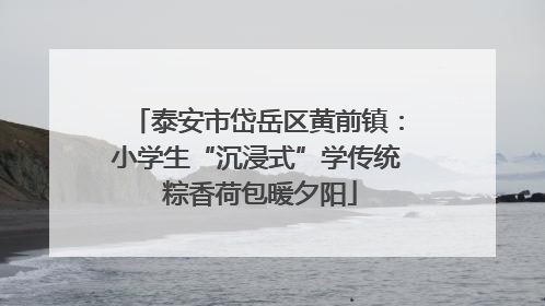 泰安市岱岳区黄前镇：小学生“沉浸式”学传统 粽香荷包暖夕阳