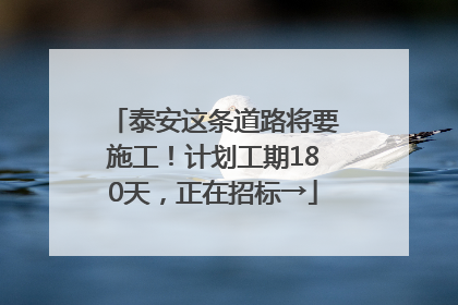 泰安这条道路将要施工！计划工期180天，正在招标→