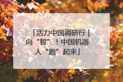 活力中国调研行｜向“智”！中国机器人“跑”起来