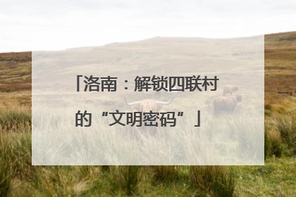洛南：解锁四联村的“文明密码”