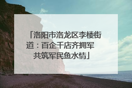 洛阳市洛龙区李楼街道：百企千店齐拥军 共筑军民鱼水情