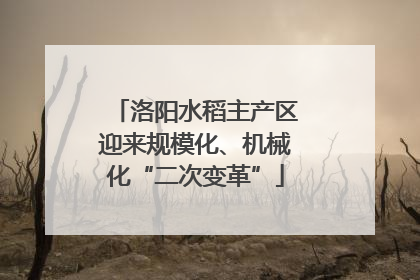 洛阳水稻主产区迎来规模化、机械化“二次变革”