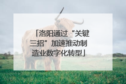 洛阳通过“关键三招”加速推动制造业数字化转型