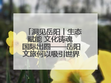洞见岳阳丨生态赋能 文化铸魂 国际出圈——岳阳文旅何以吸引世界目光？
