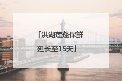 洪湖莲蓬保鲜延长至15天