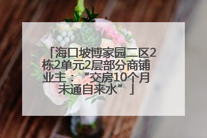 海口坡博家园二区2栋2单元2层部分商铺业主：“交房10个月未通自来水”