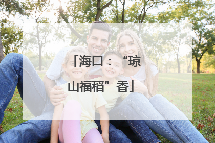 海口：“琼山福稻”香