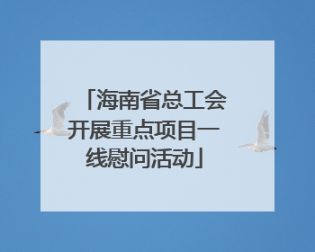 海南省总工会开展重点项目一线慰问活动