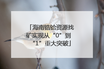 海南锆铪资源找矿实现从“0”到“1”重大突破
