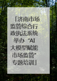 济南市场监管综合行政执法系统举办“AI大模型赋能市场监管”专题培训